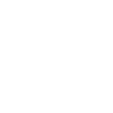 savage concepts audio video security logo transparent white